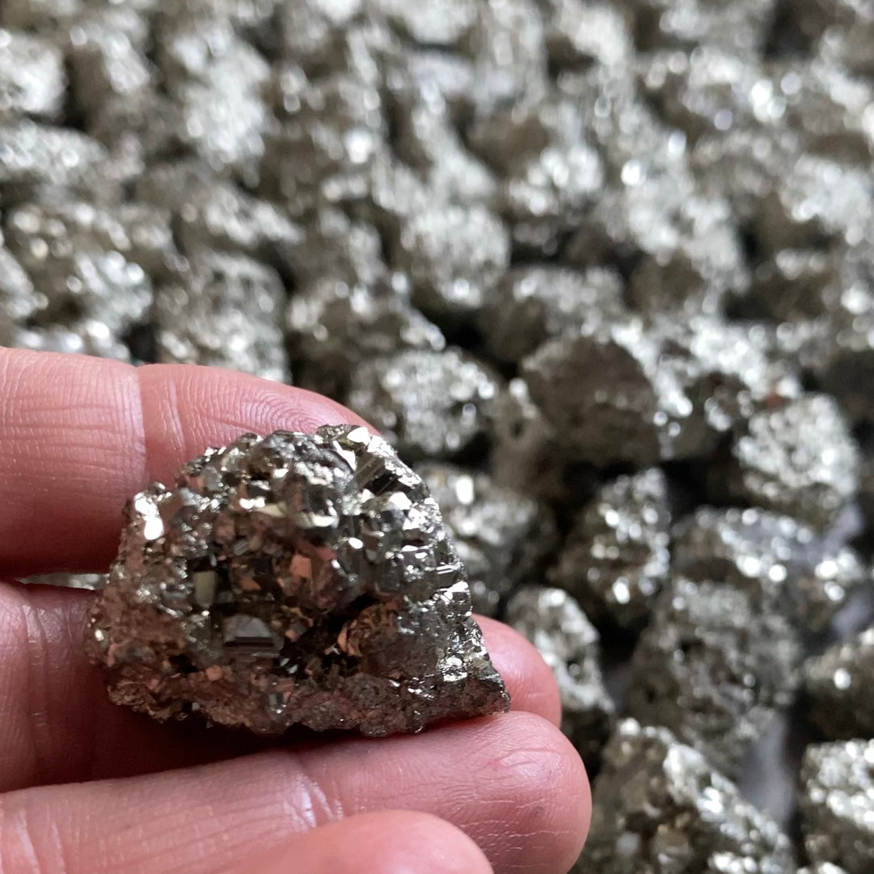 Golden Pyrite