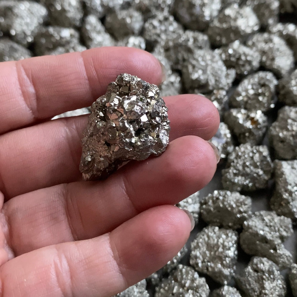 Golden Pyrite