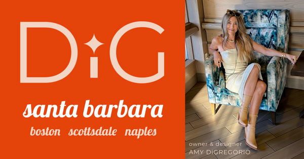 Amy DiGregorio logo