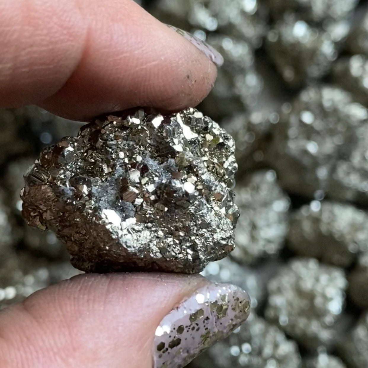 Golden Pyrite